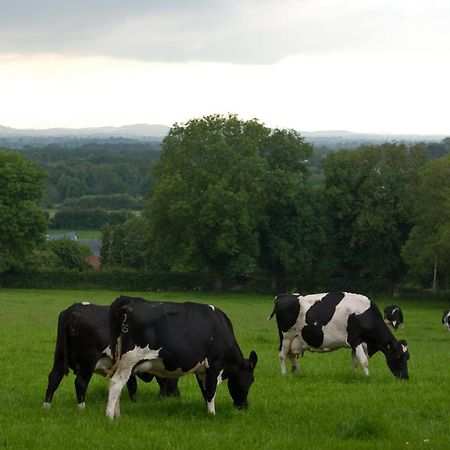 Ballindrum Farm B&B Athy Buitenkant foto