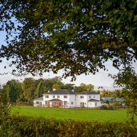 Ballindrum Farm B&B Athy Buitenkant foto