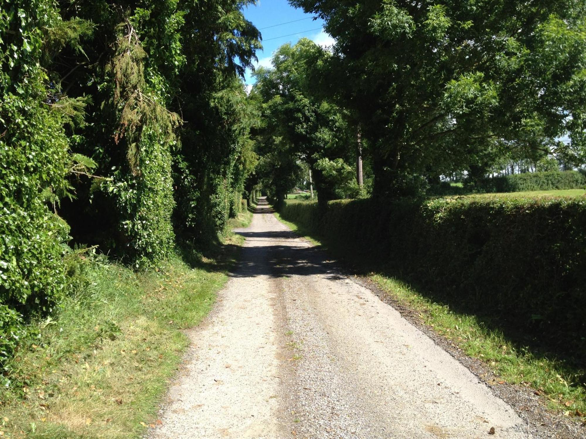 Ballindrum Farm B&B Athy Buitenkant foto