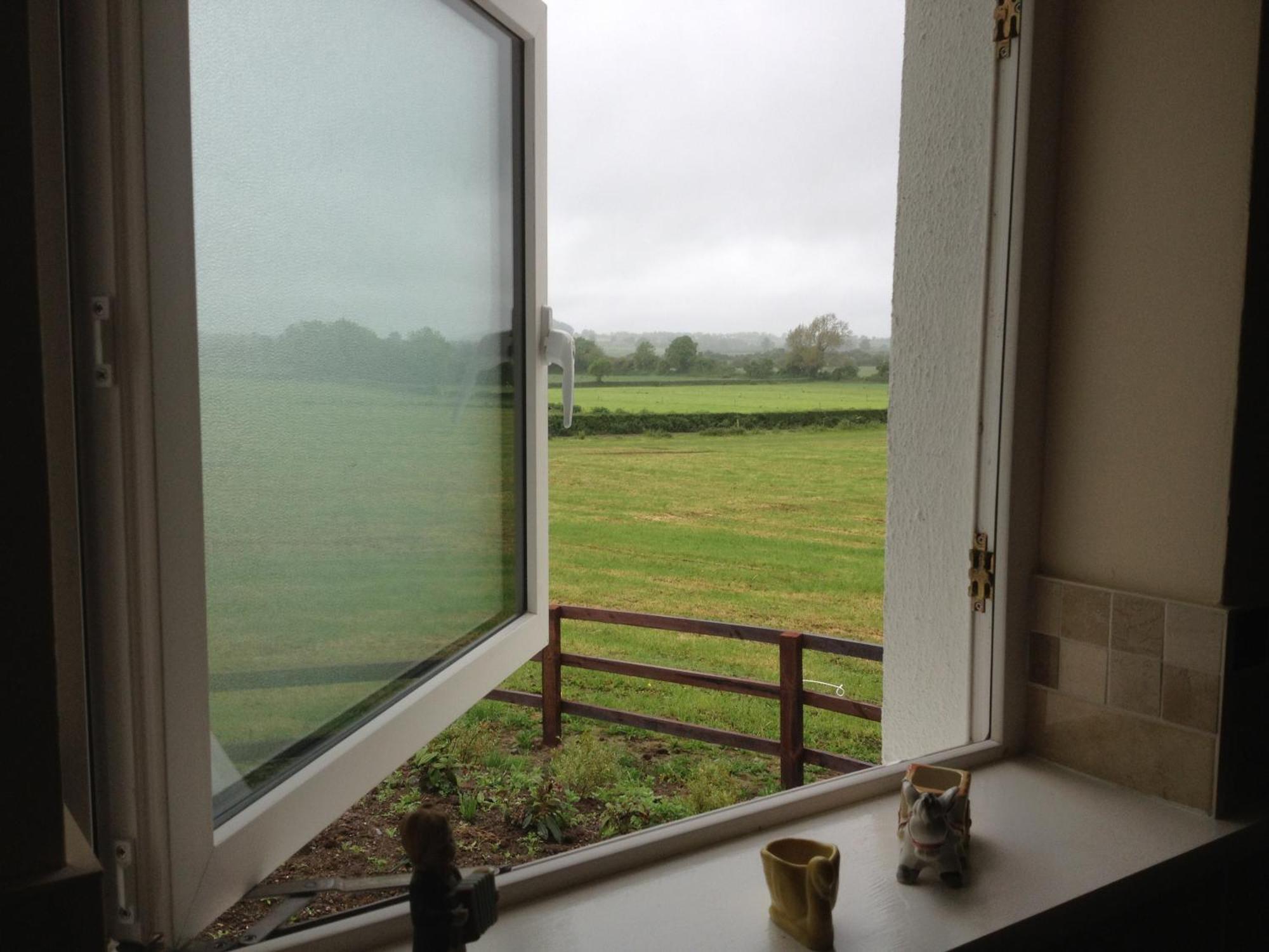 Ballindrum Farm B&B Athy Buitenkant foto
