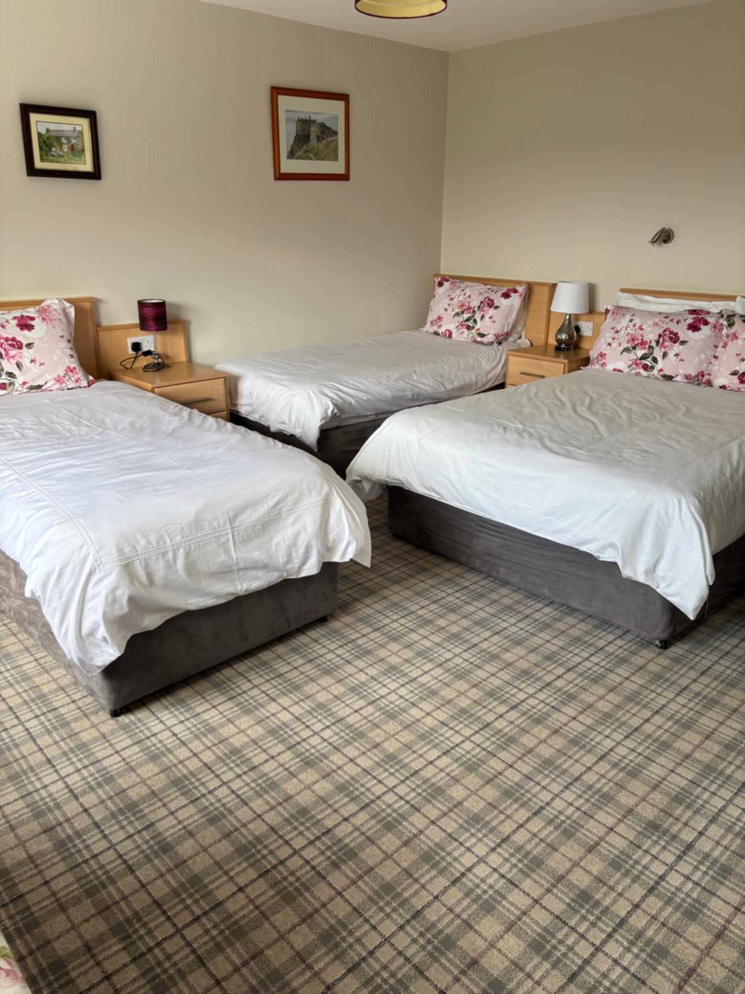 Ballindrum Farm B&B Athy Buitenkant foto