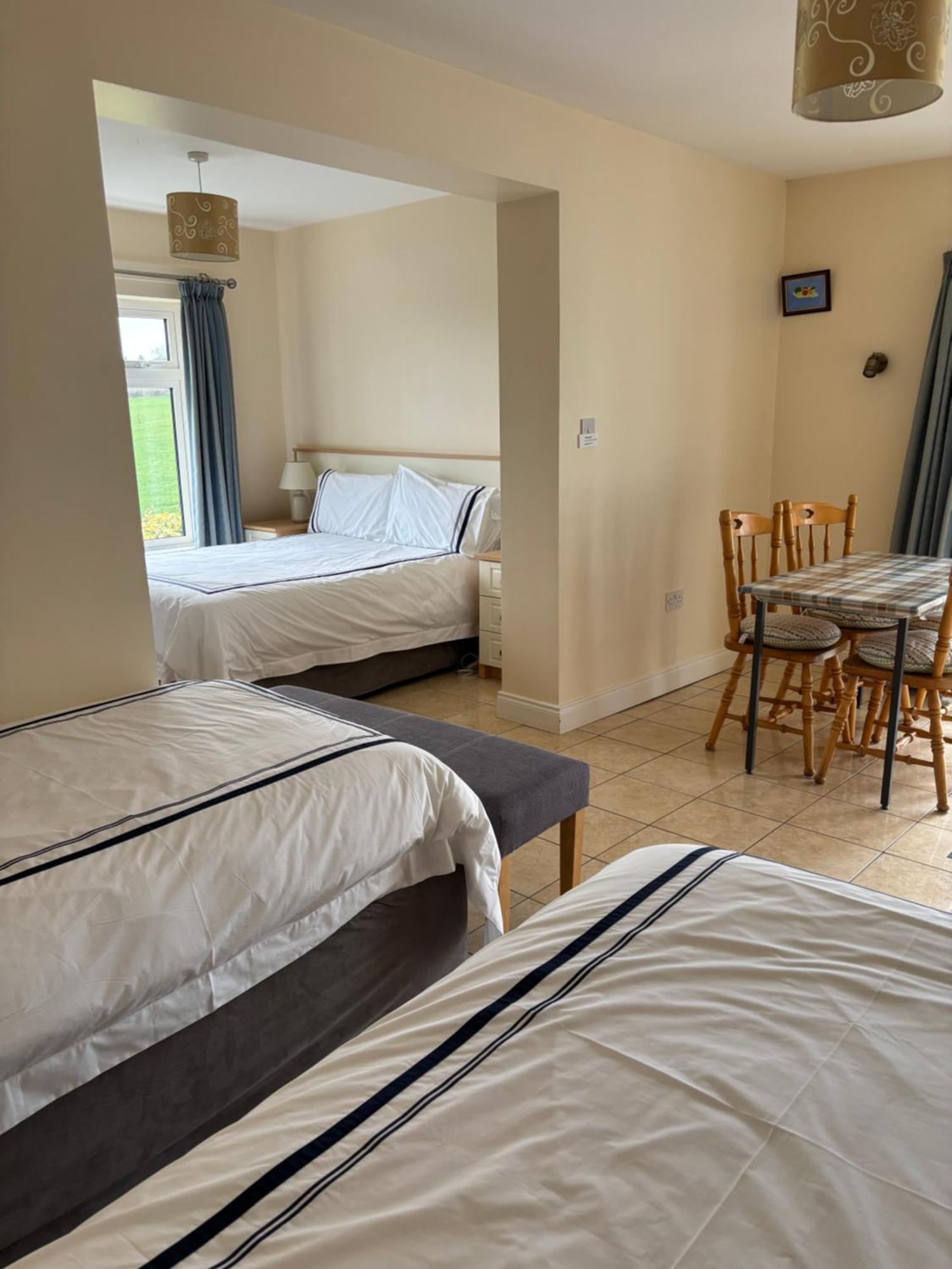 Ballindrum Farm B&B Athy Buitenkant foto