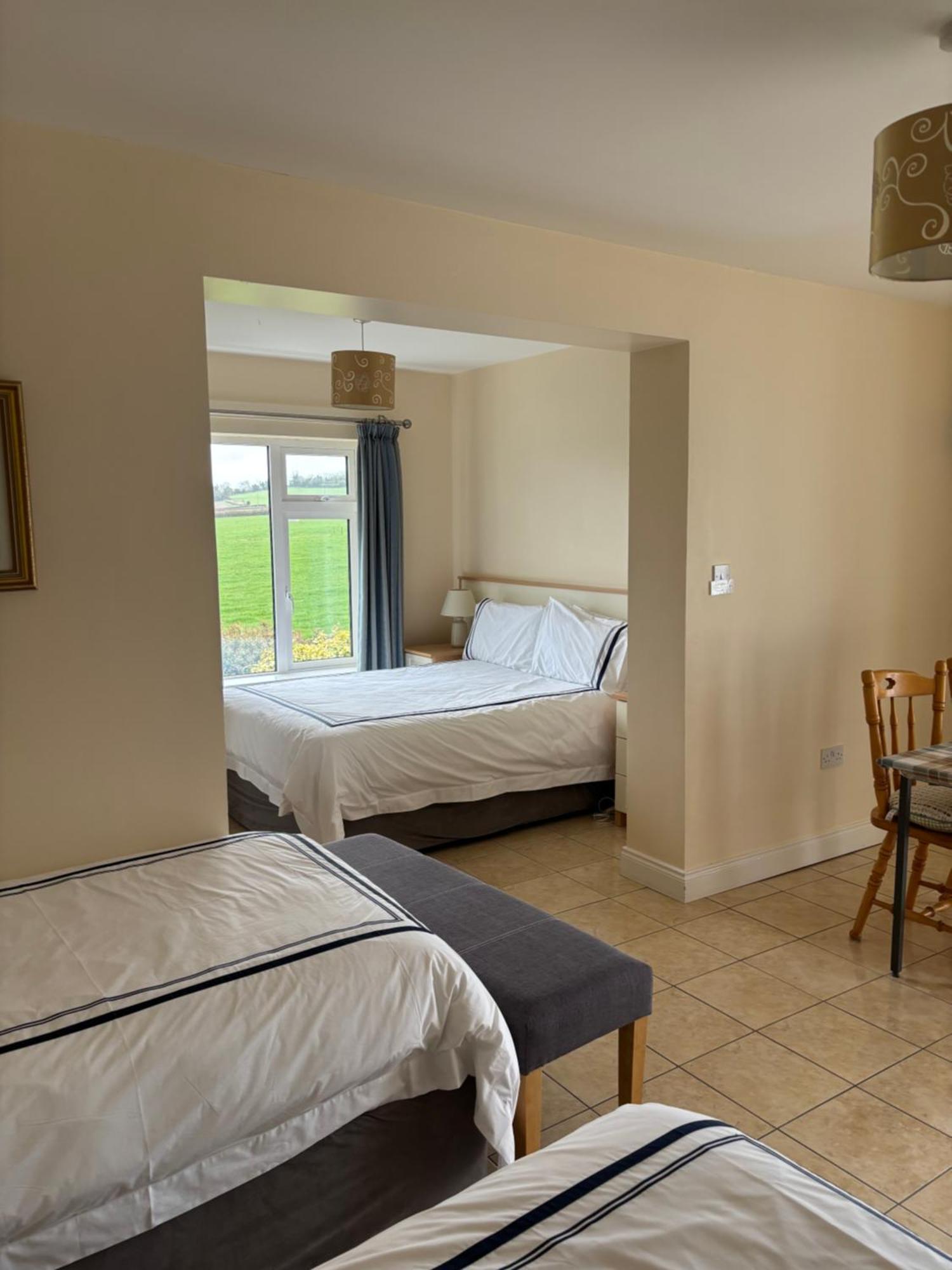 Ballindrum Farm B&B Athy Buitenkant foto