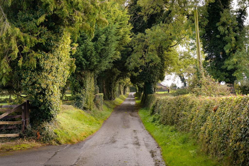 Ballindrum Farm B&B Athy Buitenkant foto