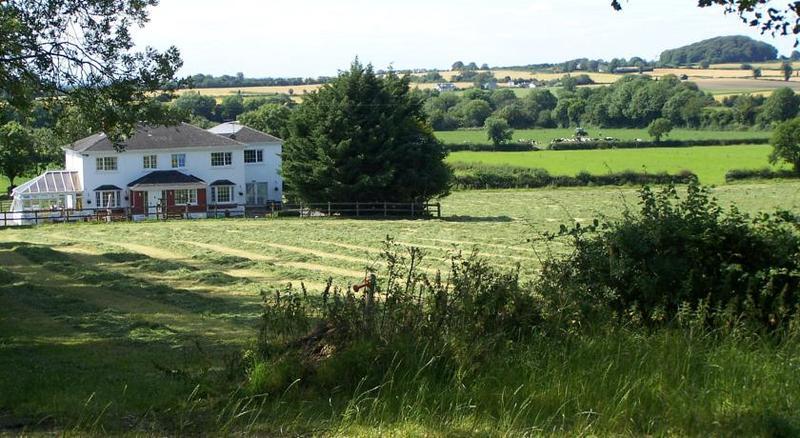 Ballindrum Farm B&B Athy Buitenkant foto