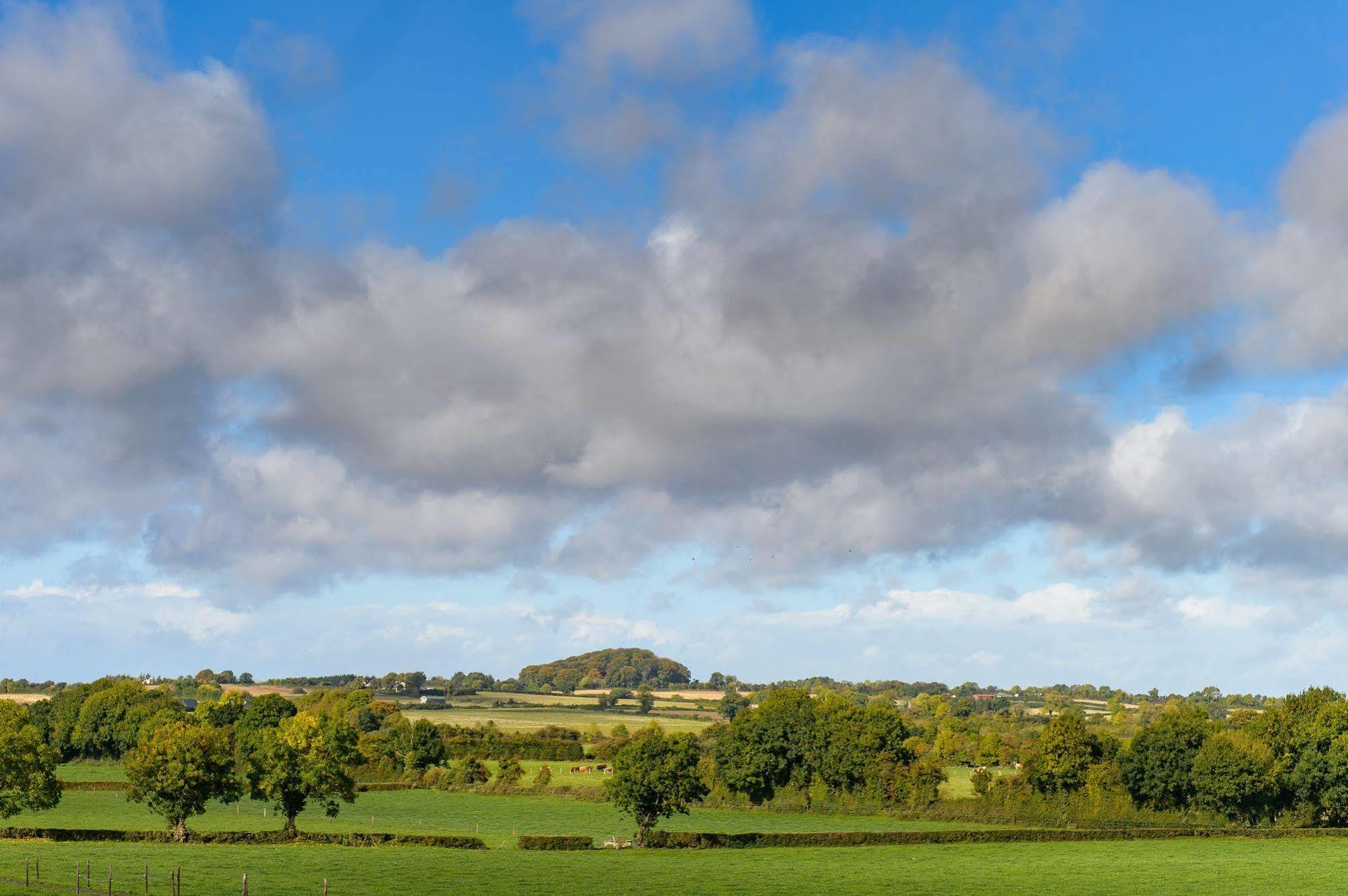 Ballindrum Farm B&B Athy Buitenkant foto