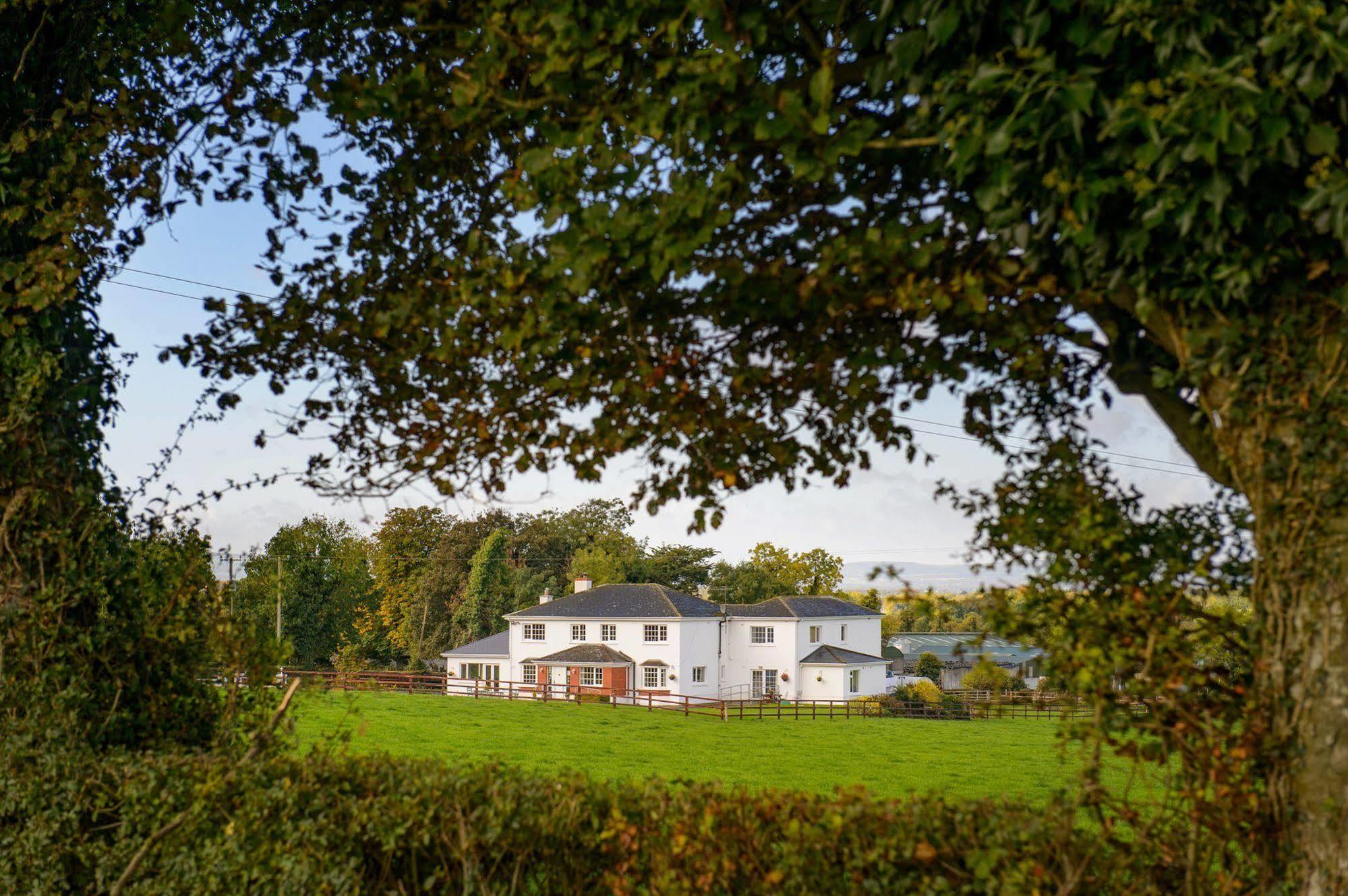 Ballindrum Farm B&B Athy Buitenkant foto
