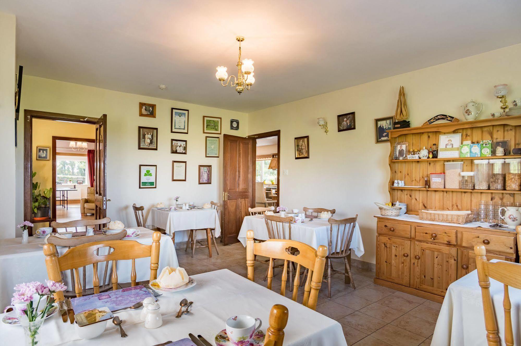 Ballindrum Farm B&B Athy Buitenkant foto