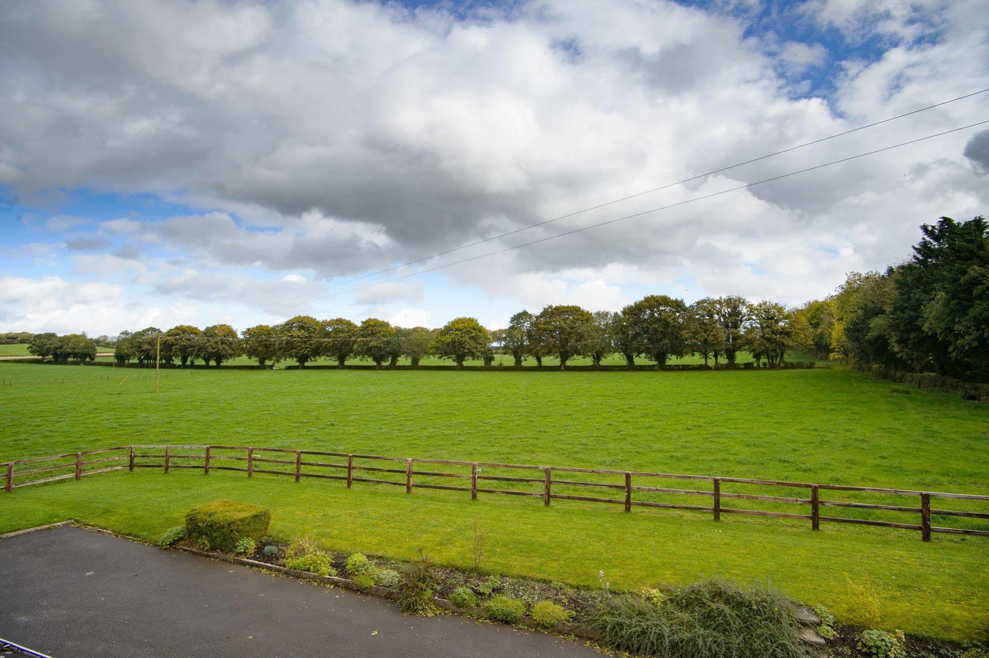 Ballindrum Farm B&B Athy Buitenkant foto